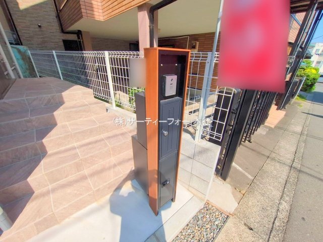 撮影日(2025-06-19 00:00:00)
