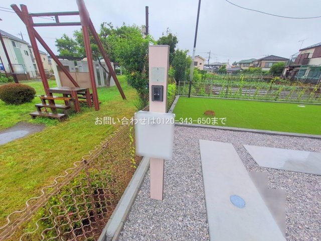 撮影日(2025-06-25 00:00:00)