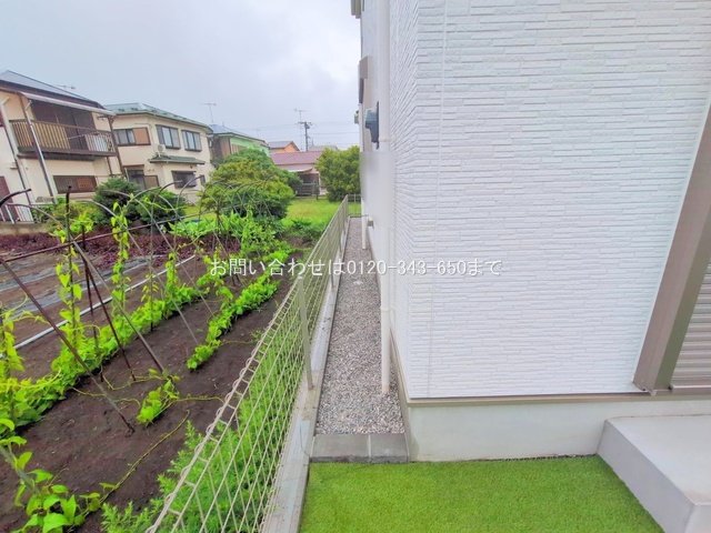 撮影日(2025-06-25 00:00:00)