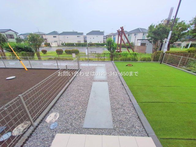 撮影日(2025-06-25 00:00:00)