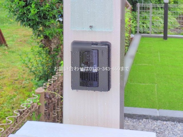 撮影日(2025-06-25 00:00:00)