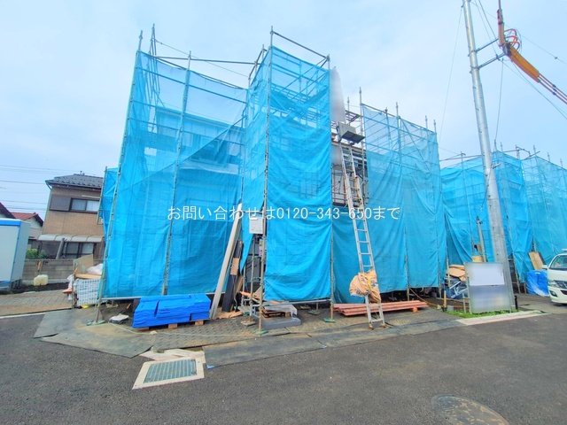 撮影日(2025-06-12 00:00:00)