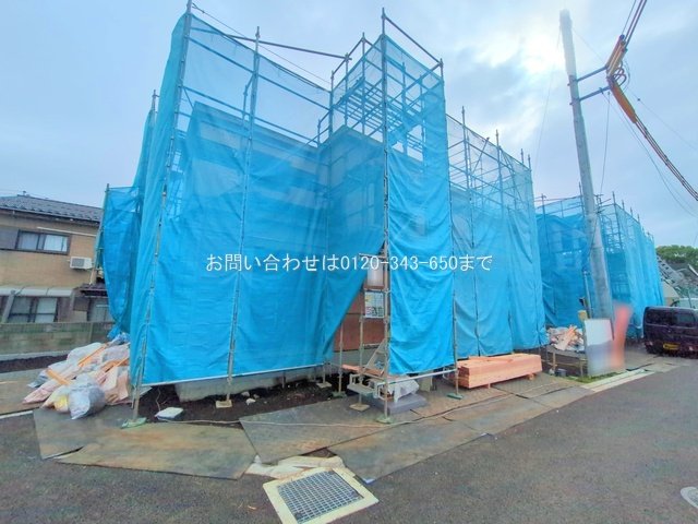 撮影日(2025-06-02 00:00:00)