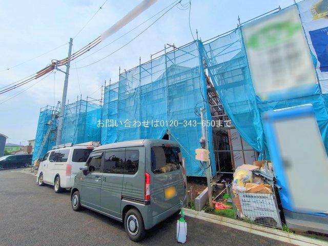 撮影日(2025-06-12 00:00:00)