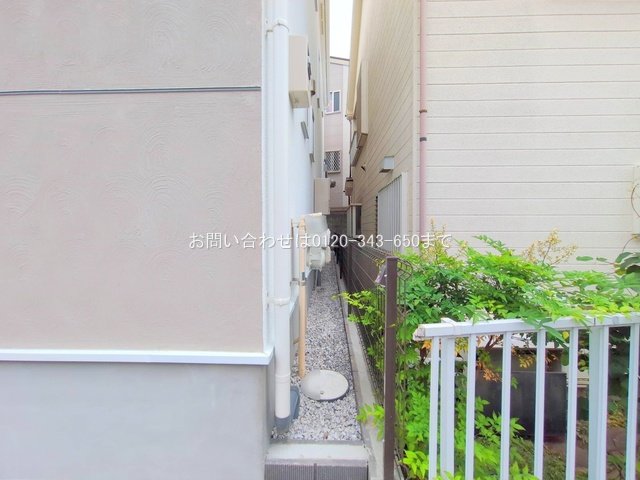 撮影日(2025-06-24 00:00:00)