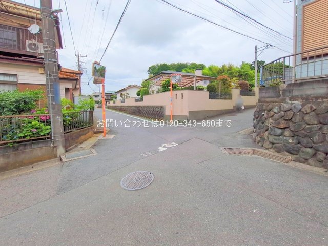 撮影日(2025-06-24 00:00:00)