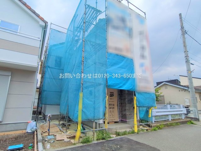 撮影日(2025-06-13 00:00:00)