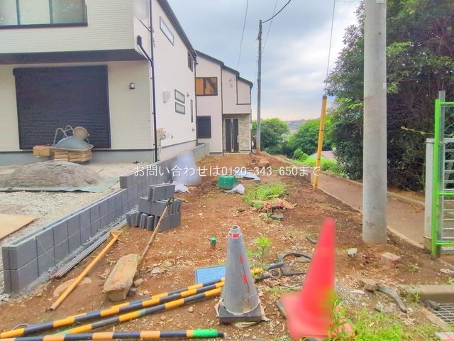 撮影日(2025-06-13 00:00:00)