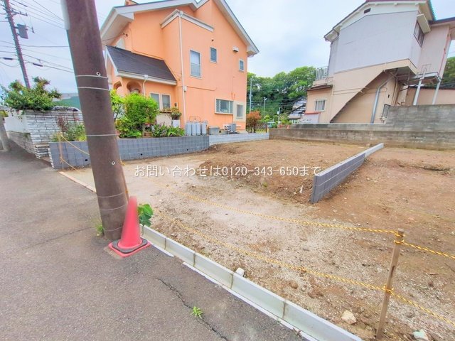 撮影日(2025-05-15 00:00:00)