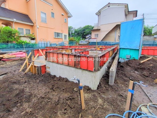 撮影日(2025-06-11 00:00:00)