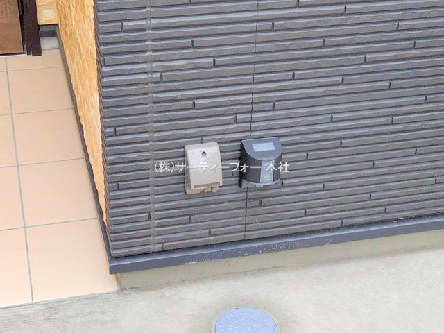 撮影日(2025-06-04 00:00:00)