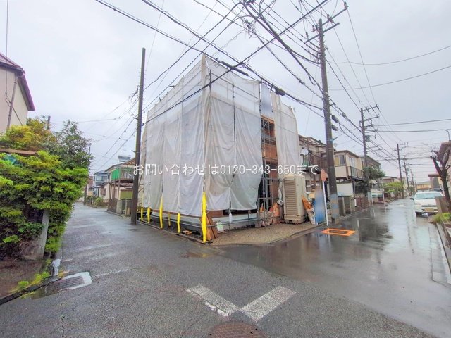 撮影日(2025-06-03 00:00:00)