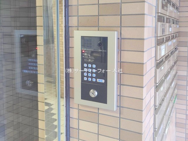 撮影日(2025-03-05 00:00:00)