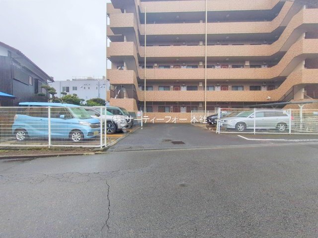撮影日(2025-03-05 00:00:00)