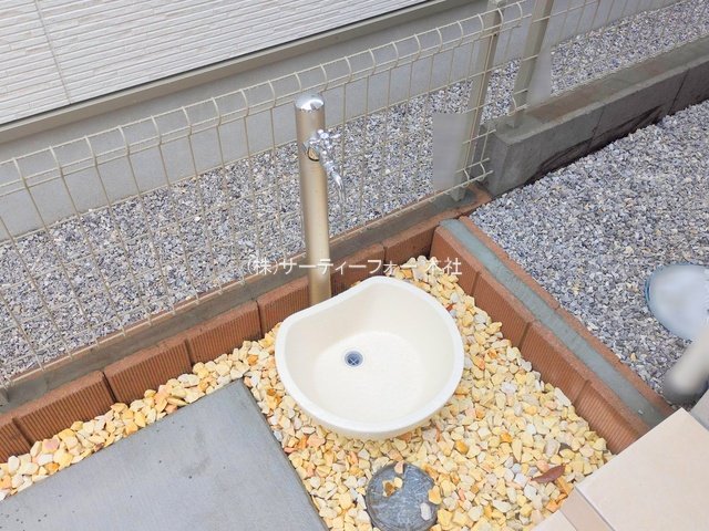 撮影日(2025-06-11 00:00:00)