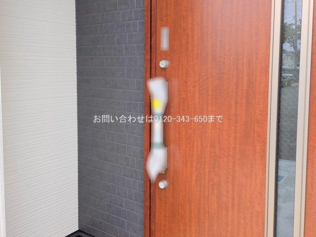 撮影日(2025-06-24 00:00:00)