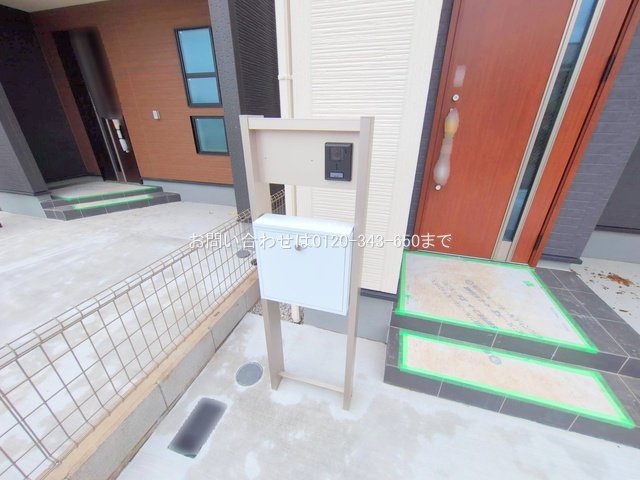 撮影日(2025-06-24 00:00:00)