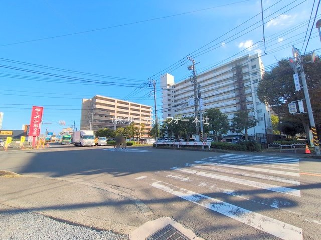 撮影日(2024-11-07 00:00:00)