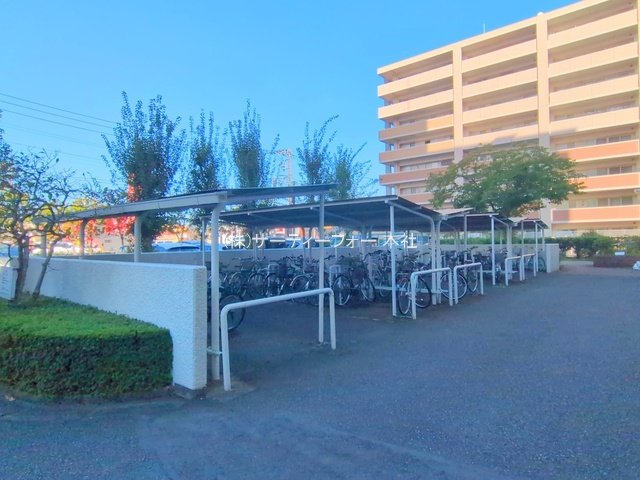 撮影日(2024-11-07 00:00:00)