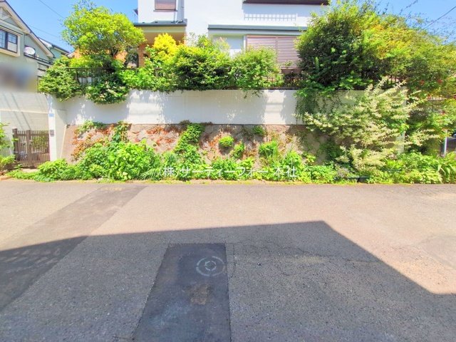 撮影日(2025-05-20 00:00:00)