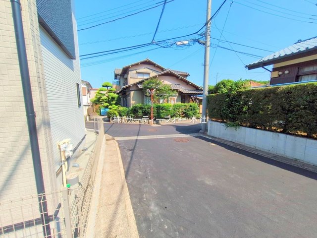撮影日(2025-06-19 00:00:00)