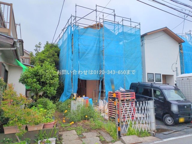 撮影日(2025-05-19 00:00:00)