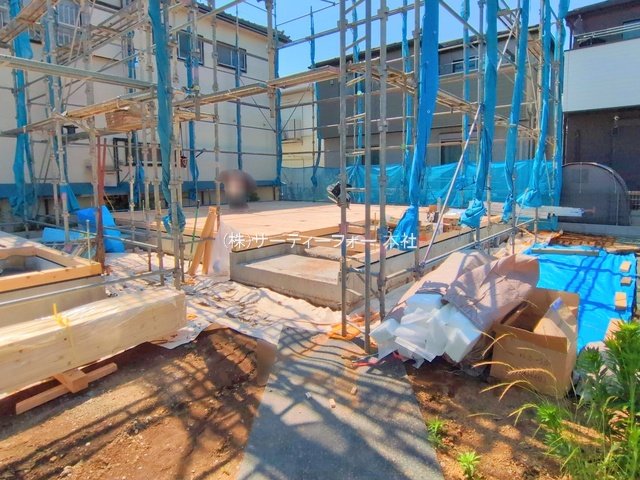 撮影日(2025-06-05 00:00:00)