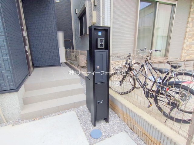 撮影日(2025-06-12 00:00:00)