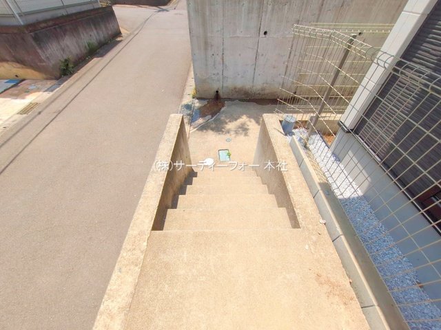 撮影日(2025-05-20 00:00:00)