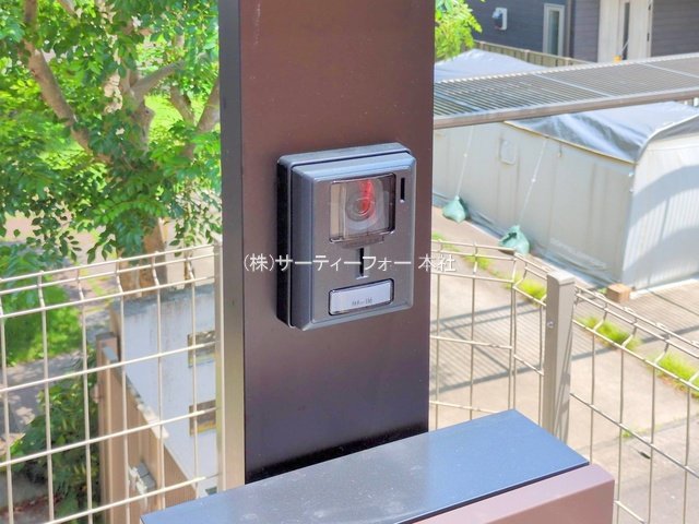 撮影日(2025-05-20 00:00:00)