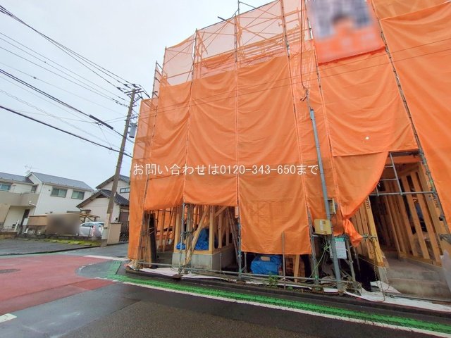 撮影日(2025-06-11 00:00:00)