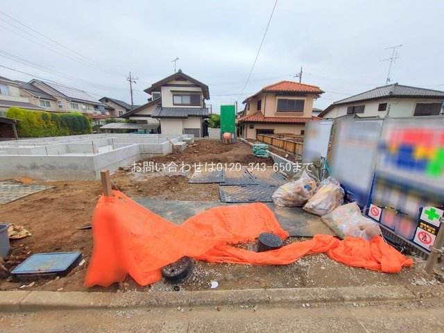 撮影日(2025-05-19 00:00:00)