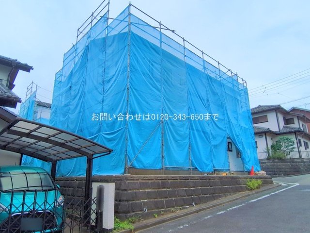 撮影日(2025-06-24)