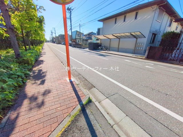 撮影日(2025-04-29 00:00:00)