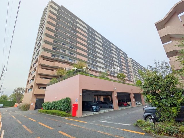 撮影日(2024-10-23 00:00:00)