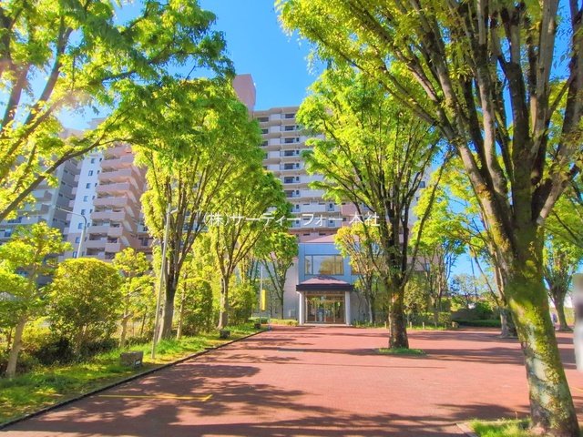 撮影日(2025-04-29 00:00:00)
