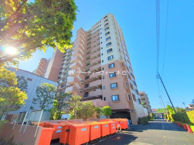 撮影日(2025-04-29 00:00:00)
