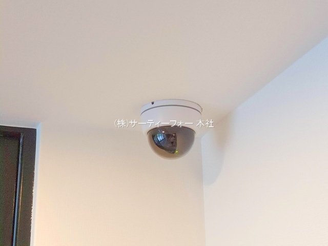 撮影日(2025-05-19 00:00:00)