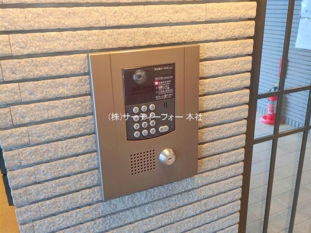 撮影日(2025-05-19 00:00:00)