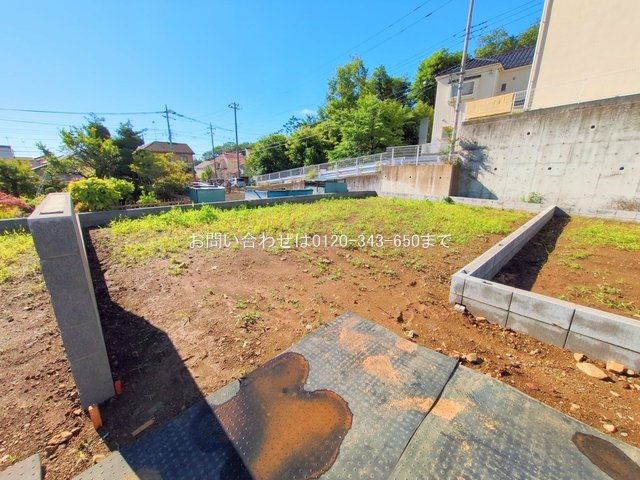 撮影日(2025-06-04 00:00:00)