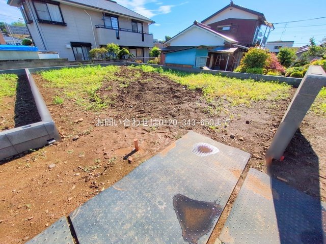撮影日(2025-06-04 00:00:00)