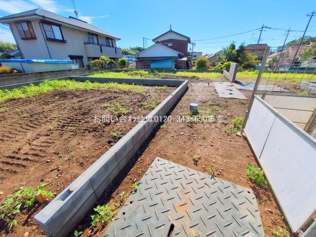 撮影日(2025-06-04 00:00:00)