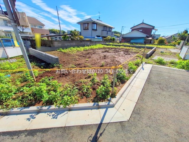 撮影日(2025-06-04 00:00:00)
