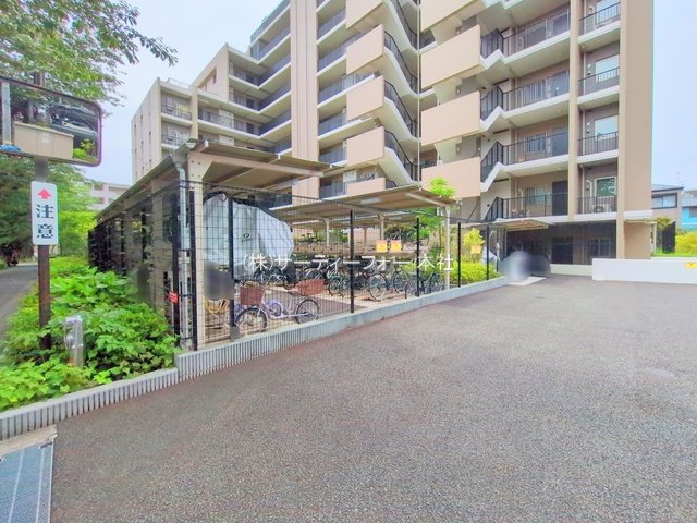 撮影日(2025-05-14 00:00:00)