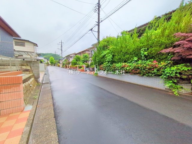 撮影日(2025-06-10 00:00:00)