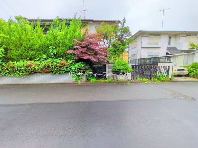 撮影日(2025-06-10 00:00:00)