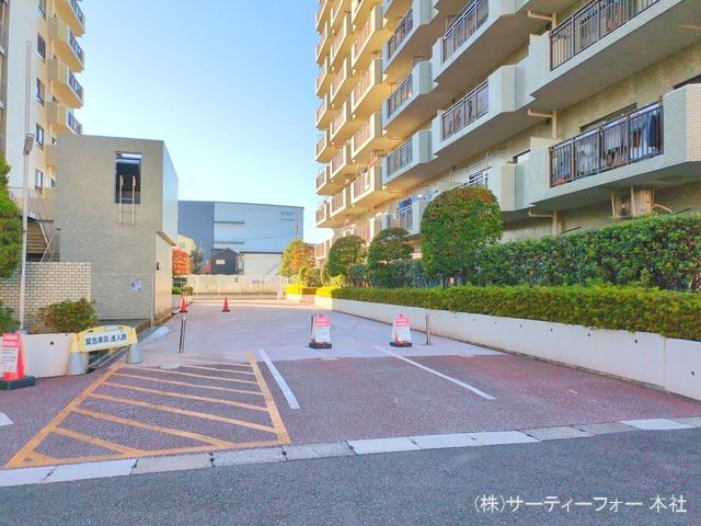 撮影日(2024-11-19 00:00:00)