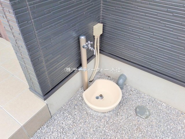 撮影日(2025-06-02 00:00:00)