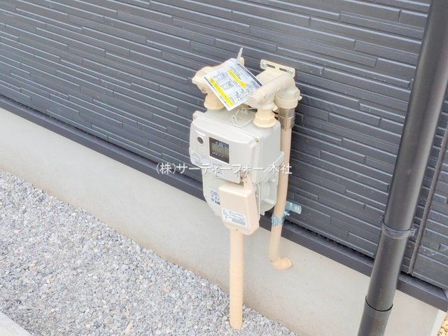 撮影日(2025-06-02 00:00:00)