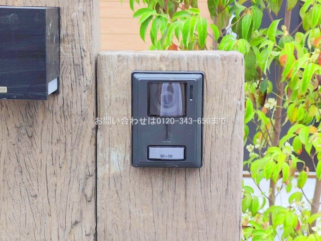 撮影日(2025-06-23 00:00:00)